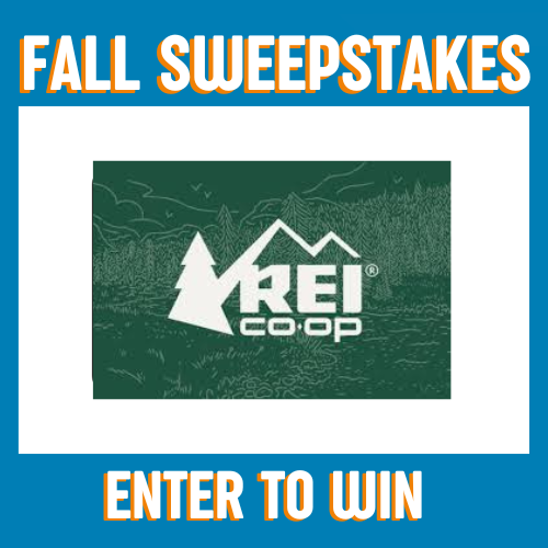 $100 REI eGift Card
