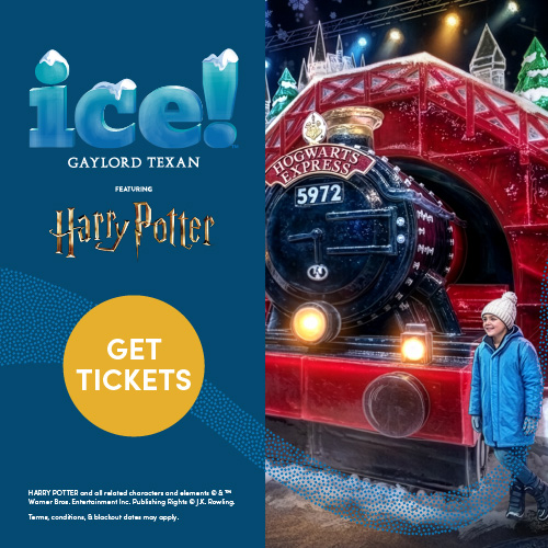 Save 30% on ICE!